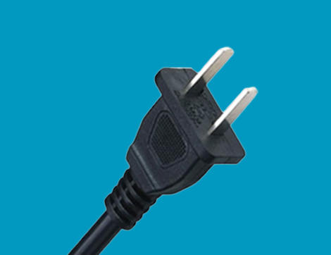 National Standard Two-Core Plug